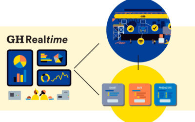 Elevating Overhead Crane Maintenance: Introducing GH Real Time